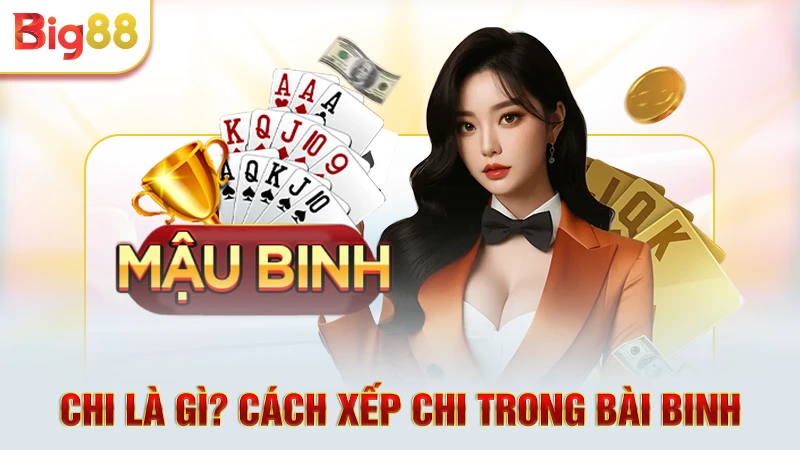 Chi là gì? Cách xếp chi trong bài Binh