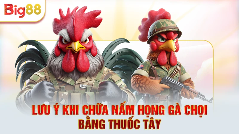 Một vài lưu ý khi chữa nấm họng gà chọi bằng thuốc tây