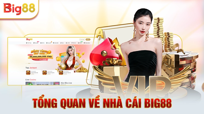 Tổng quan về Big88 casino